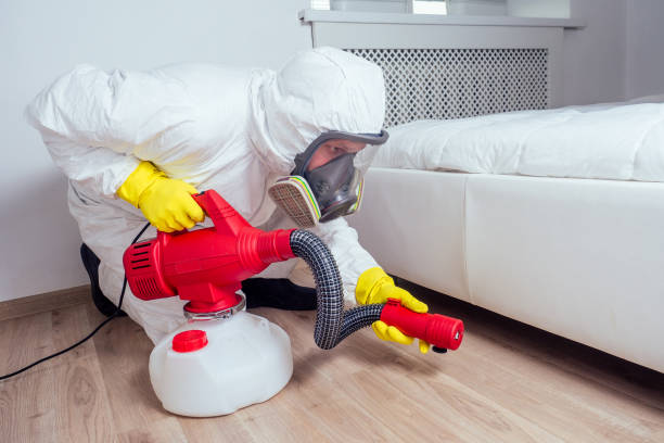 Best Affordable Pest Control Services  in Silt, CO